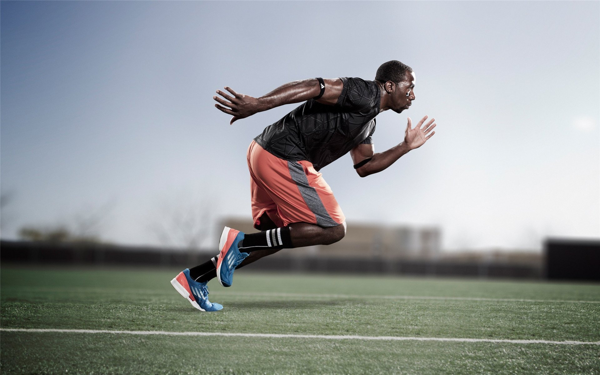 校园体育场馆智能管理应用，校园体育场馆智能管理应用有哪些